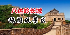 黄色网站操逼中国北京-八达岭长城旅游风景区
